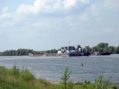 IMG_4634.jpg