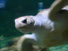 DSC01757.jpg