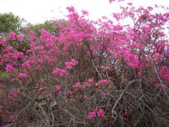 DSC01932.JPG