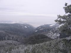 IMG_2664.jpg