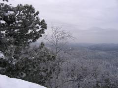IMG_2665.jpg