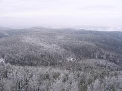 IMG_2666.jpg