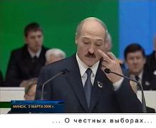 vibory.jpg