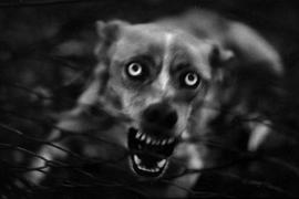 sonyaward_giacomobrunelli_nature.jpg