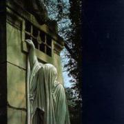 cover_357692007.jpg