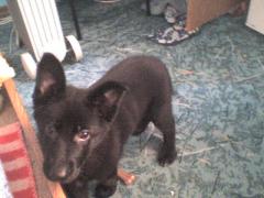 DSC00005.JPG