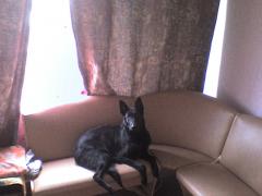 DSC00029.JPG