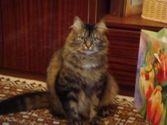 DSC00104.JPG