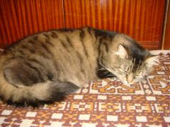 DSC00096.JPG