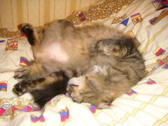 DSC00129.JPG