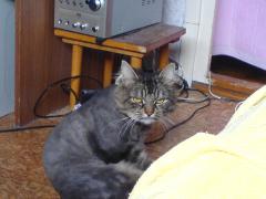 DSC00117.JPG