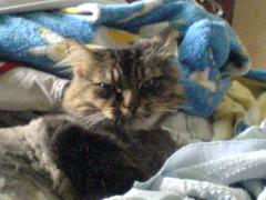DSC00121.JPG