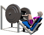 LegWorkout.gif