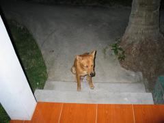 Tailand0151.JPG