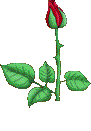 12200413130610.gif