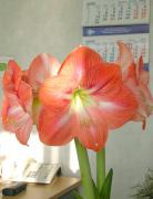 DSCN1015_.jpg