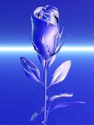 bluerose.jpg