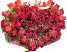 rose_heart_70.jpg