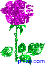 i91880032_74301_1_.gif