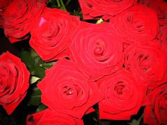 IMG_2822.jpg