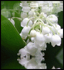 s_h426192.jpg