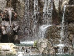 112976378_c72a7ab641_b.jpg