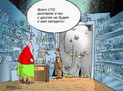 Slon2.jpg