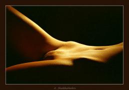 av_235.jpg