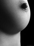 av_219.jpg