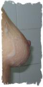 IMG_1982.JPG