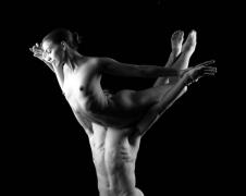 gallery_175122_978_1132265652.jpg