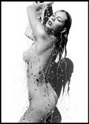 bw04.jpg