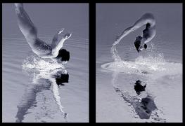 bw07.jpg