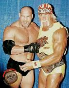 goldberg_hogan1.jpg
