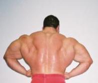 20040102005231.jpg