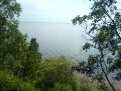 DSC00142.JPG