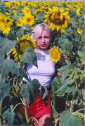 scan0006.jpg