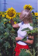 scan0005.jpg