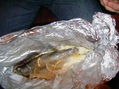 Anton_fish_3_f.jpg