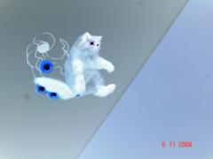 DSC00242.JPG