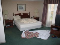 IMG_0275.jpg