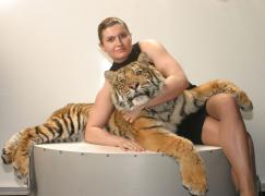 sweet_tiger.jpg