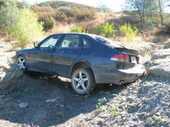 IMG_2726.jpg