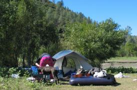 IMG_2717.jpg