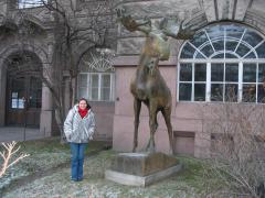 IMG_2332.jpg