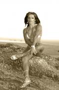 sepia3.jpg