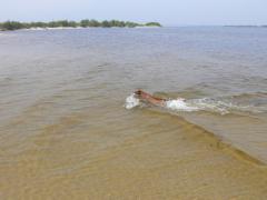 P10008.jpg