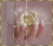 188183orogttq6zw.gif