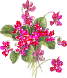 21337jo20j8n98w.gif