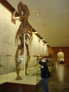 DSC00532.JPG